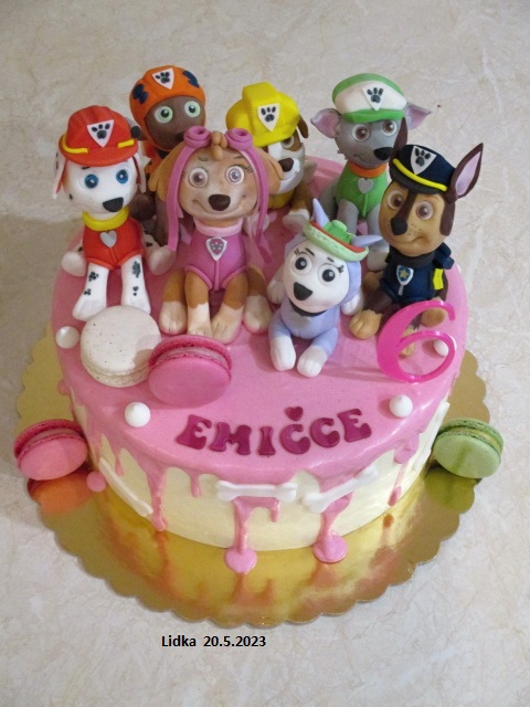 PAW patrol