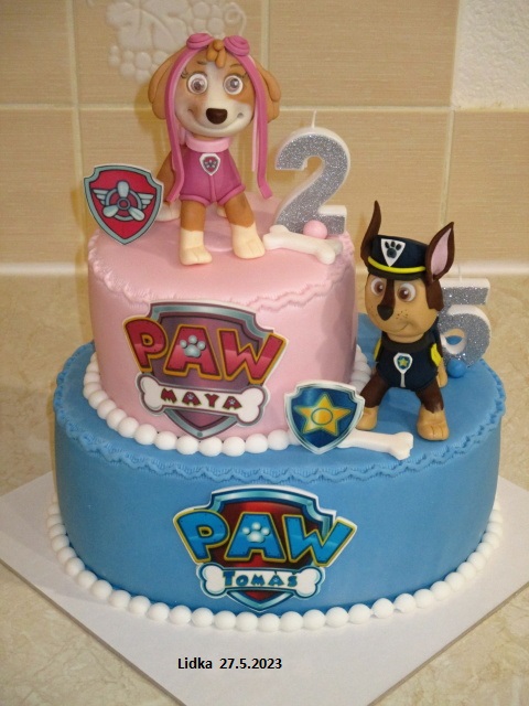 PAW patrol pro dva