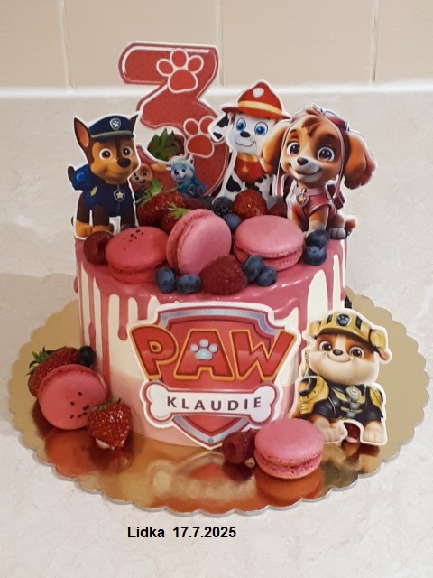 PAW patrol v růžové